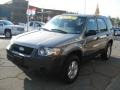 Tungsten Grey Metallic - Escape XLS 4WD Photo No. 4