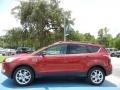 2013 Ruby Red Metallic Ford Escape SEL 1.6L EcoBoost  photo #2