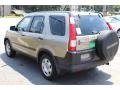 2006 Sahara Sand Metallic Honda CR-V LX 4WD  photo #6