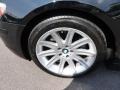 2006 BMW 7 Series 750i Sedan Wheel and Tire Photo