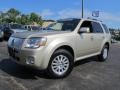 UP - Gold Leaf Metallic Mercury Mariner (2010-2011)