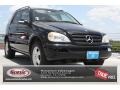 Black - ML 350 4Matic Photo No. 1