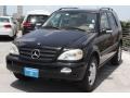 Black - ML 350 4Matic Photo No. 3