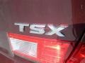 2009 Acura TSX Sedan Badge and Logo Photo