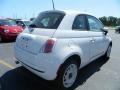 Bianco (White) - 500 Pop Photo No. 3