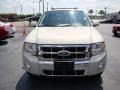 2008 Light Sage Metallic Ford Escape Limited  photo #3