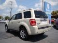 2008 Light Sage Metallic Ford Escape Limited  photo #6