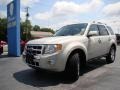 2008 Light Sage Metallic Ford Escape Limited  photo #31