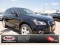 Brilliant Black - Q5 3.2 FSI quattro Photo No. 1