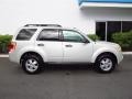 2009 Light Sage Metallic Ford Escape XLT V6  photo #2