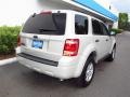 2009 Light Sage Metallic Ford Escape XLT V6  photo #3