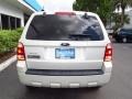 2009 Light Sage Metallic Ford Escape XLT V6  photo #4