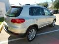 White Gold Metallic - Tiguan SE Photo No. 7