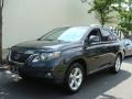 2010 Smokey Granite Mica Lexus RX 350 AWD  photo #1