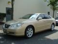 Golden Almond Metallic - ES 350 Photo No. 1