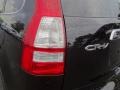2010 Crystal Black Pearl Honda CR-V EX-L AWD  photo #8