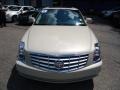 White Diamond Tricoat - DTS Luxury Photo No. 8