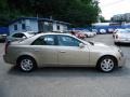 Sand Storm - CTS Sedan Photo No. 6