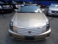 Sand Storm - CTS Sedan Photo No. 8