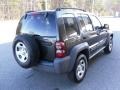 2006 Dark Khaki Pearl Jeep Liberty Sport  photo #4