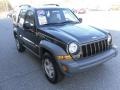 2006 Dark Khaki Pearl Jeep Liberty Sport  photo #5