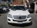 2010 Arctic White Mercedes-Benz ML 350  photo #9