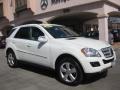 2010 Arctic White Mercedes-Benz ML 350  photo #26