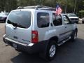 2001 Silver Ice Metallic Nissan Xterra SE V6 4x4  photo #7