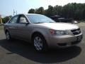Golden Beige - Sonata GLS Photo No. 3