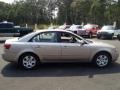Golden Beige - Sonata GLS Photo No. 5
