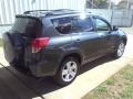 Flint Mica - RAV4 Sport Photo No. 16