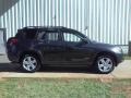 Flint Mica - RAV4 Sport Photo No. 17