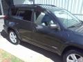 Flint Mica - RAV4 Sport Photo No. 21