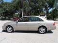 Desert Sand Metallic - Avalon XLS Photo No. 2