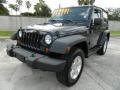 Black - Wrangler Sport 4x4 Photo No. 19