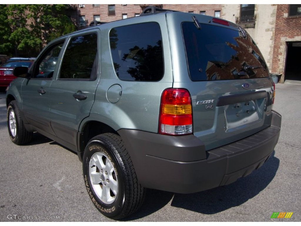 Titanium Green Metallic 2006 Ford Escape XLT V6 4WD Exterior Photo #68896236