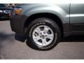 2006 Titanium Green Metallic Ford Escape XLT V6 4WD  photo #13