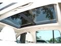 White Gold Metallic - Tiguan SEL Photo No. 19