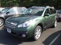 Cypress Green Pearl - Outback 2.5i Premium Photo No. 1