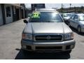 Luminous Gold Metallic - Pathfinder SE 4x4 Photo No. 2