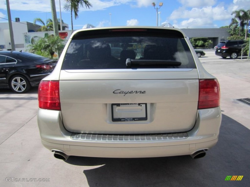 2005 Cayenne  - Prosecco Metallic / Havanna/Sand Beige photo #4