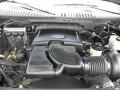 2003 Black Clearcoat Ford Expedition Eddie Bauer  photo #39