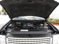 2003 Black Clearcoat Ford Expedition Eddie Bauer  photo #40