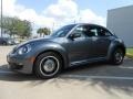 Platinum Gray Metallic - Beetle 2.5L Photo No. 3