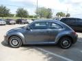 Platinum Gray Metallic - Beetle 2.5L Photo No. 4