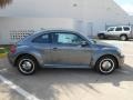 Platinum Gray Metallic - Beetle 2.5L Photo No. 7