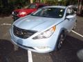 Iridescent Silver Blue Metallic - Sonata SE Photo No. 4