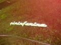 2005 Maserati Quattroporte Standard Quattroporte Model Badge and Logo Photo