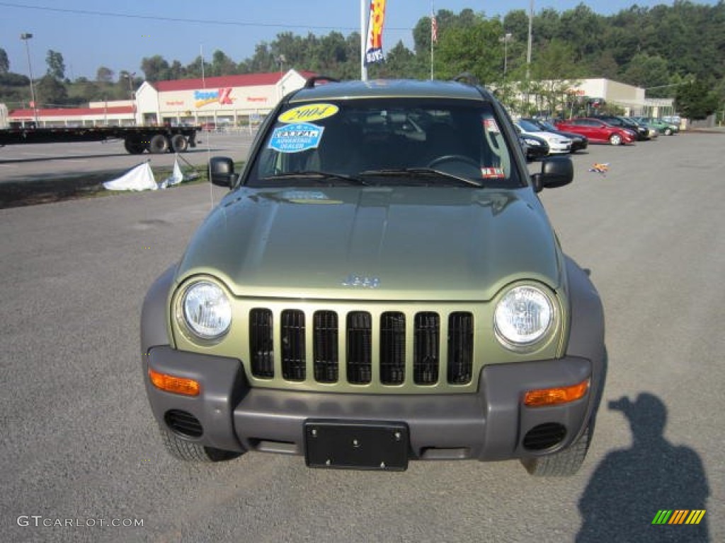 2004 Liberty Sport 4x4 - Cactus Green Pearl / Dark Slate Gray photo #2