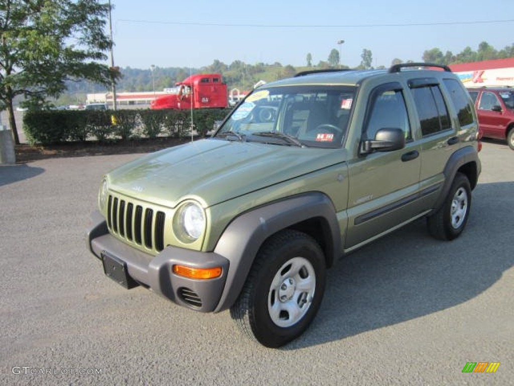 2004 Liberty Sport 4x4 - Cactus Green Pearl / Dark Slate Gray photo #3